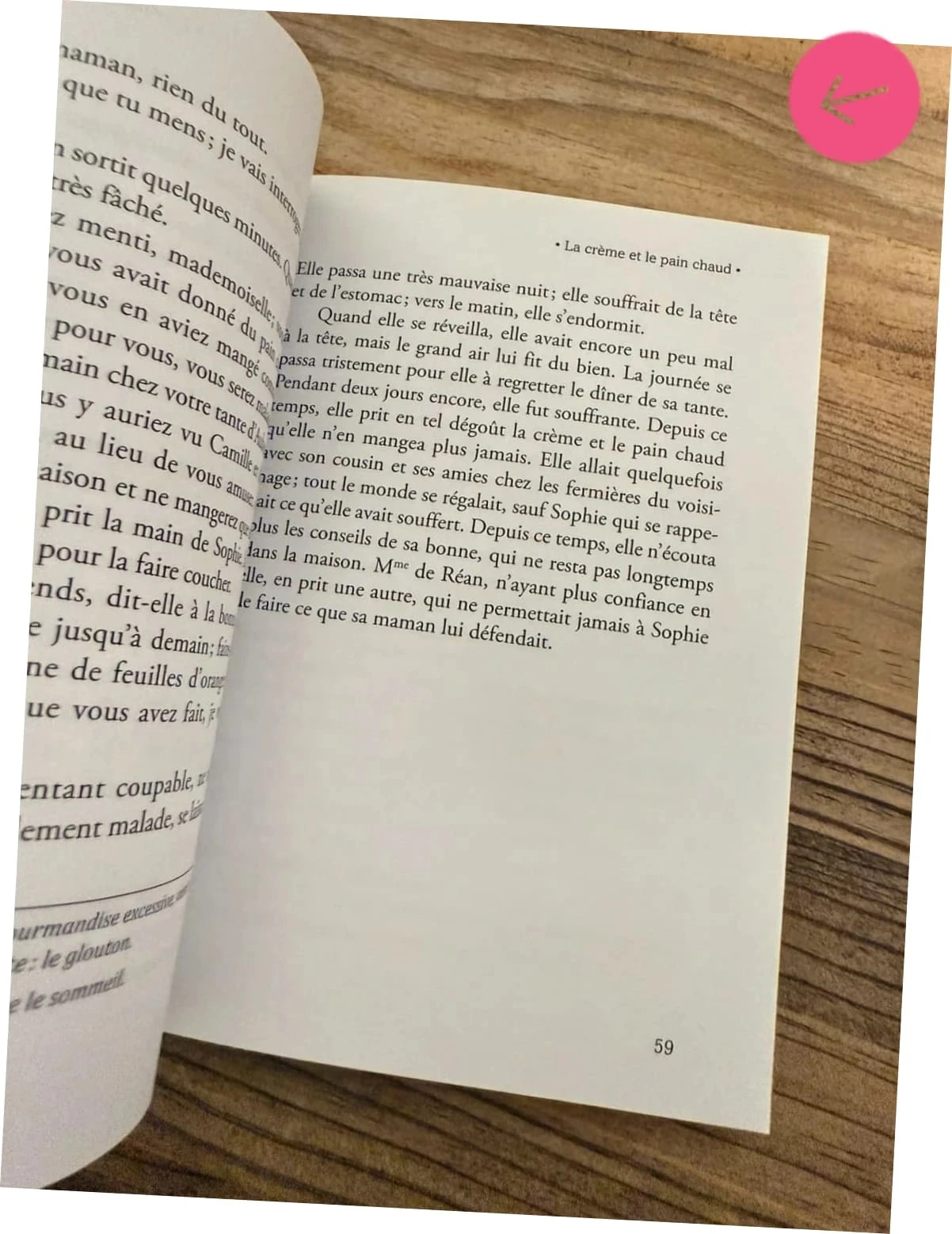Livre les malheurs de Sophie – photo 4